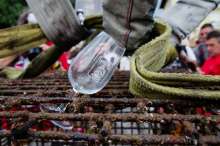 Wine Bottles to be Lifted from Sea in Ika This Weekend
