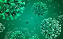 HALMED: 139 Reports of Suspected Side Effects of COVID-19 Vaccine Received So Far