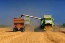 Ivan Anusic: Slavonia's Future Lies in Ecological Production