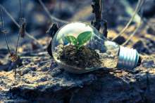 NGOs Call for Croatia's Green Recovery, Sustainable Development