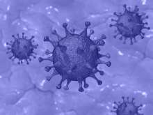 Epidemiologist Iva Pem Novosel: Delta Strain in 3 Croatian Counties