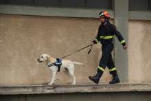 Sisak Bidding to Become International Search Dogs Training Centre