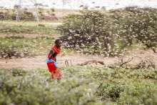 Of Grasshoppers & Water: Croatian Couple Off to Uganda to Dig Wells