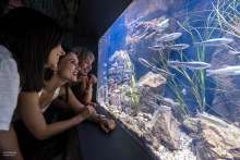 Karlovac Aquatika Presents Aquarium Washing Robot