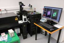First Croatian STED Microscope: New Opportunity For Cell Researchers