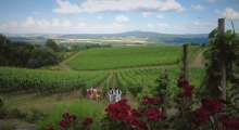 Požega-Slavonia County Tourist Board Wants You to Experience Golden Slavonia