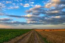 Seven Billion Euro Investment in Croatian Agriculture Possible