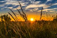 HRK 3.05bn Set Aside for Direct Payments in Agriculture for 2020