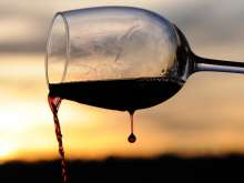 Vina Laguna Wins Three Golds at Prestigious Italian Competition