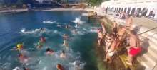 Winter Tourism on Hvar: Polar Donkeys Traditional New Year Swim in Bright Sunshine