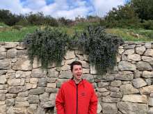 Michael Freer in a traditional Croatian back yard, with blossoming rosemary bushes and a stone wall, Split.
