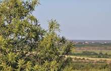 Croatian Agricultural Land Must be Offered to State Before Attempted Sale