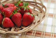 Strawberry Picking Season Starts in Southern Croatia, 600 Tonnes of Produce Expected