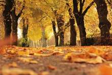 (Second Half of) October Events in Croatia: Gastro, Sport, Culture