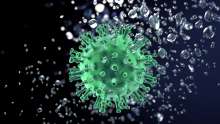 Croatia Registers 646 New Coronavirus Infections, 26 Deaths