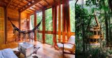 Croat Marko Brajovic builds incredible Brazil rainforest treehouse