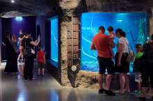 Aquatika Freshwater Aquarium in Karlovac Celebrates Five Year Anniversary