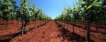 Istria Ecoxperience, All Eco From Istria in One Place