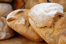 Businesses in Bakery Industry Report Revenue of HRK 4.5 bn in 2020