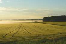 Arable Land Prices Increase by HRK 746 per Hectare on the Year