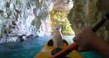 One Man and His Dog: Outdoors Croatia Explores Seagull's Rocks and Pula Arena (VIDEO)