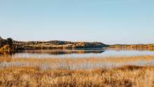 World Wetlands Day Being Marked in Croatia