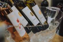 WineOs - 8th Edition of Osijek Wine Fair Featuring Exclusive Workshops