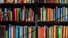 Project Free Electronic Books Logs Over 4 million Users