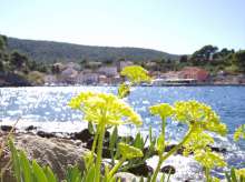 Mali Losinj, Croatia