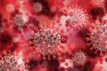 Croatia Reports 68 New Coronavirus Cases, 2 Deaths
