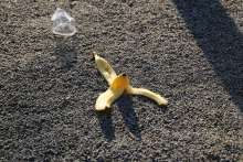 Ministry of Agriculture Calls for Less Food Waste During Holidays