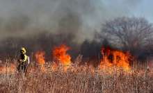 Less Wildfires in First 8 Months Than 5-Year Average, But Intensifying Lately