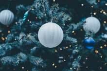 Chamber of Commerce Encourages Purchase of Croatian Christmas Trees