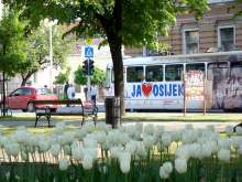 Osijek Software Company Mono Has Best Financial Rating