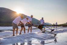 Pelješac Salt Festival Kicks Off Tomorrow in Ston With an Extensive Program