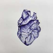 Anatomical human heart in pen and ink, all rights reserved to the artist