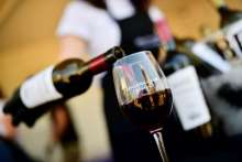 First Istria Wine and Walk Successfully Held Since Start of Pandemic