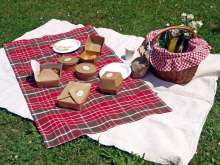 PIKNIKA – An Excellent Way to Enjoy Food and Nature While Others Cook for You!