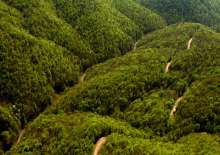 Papuk Nature Park Will Have Two New Instructional Trails Until Spring