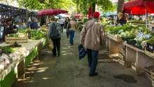 Up to €15,000 for Small Farmers in EU Thanks to Croatia's Initiative