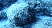 World War II Mine on Susak Discovered in Shallow Part of Island  (VIDEO)