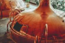 Croatian Brewing Sector Performs Well Despite Coronavirus Crisis