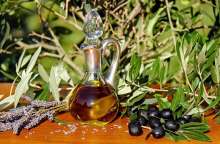 Istria Proclaimed Best Olive Region in World for 7th Consecutive Year