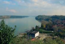 Discover the Croatian Danube: SOM (Catfish) on Our Way to Šarengrad