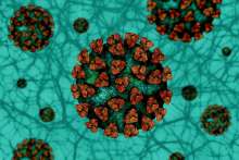 Croatia Registers 352 New Coronavirus Cases, 28 Deaths