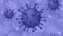 More Mass Vaccinations Start in Međimurje County