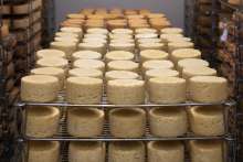 Association of Pag Cheese Producers Seeks Lowering of VAT