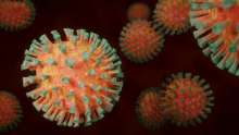 Croatia Logs 1,794 New Coronavirus Cases, Four Deaths