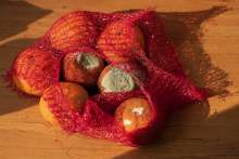 Croatian Food Waste: How Much Do We Throw Away Each Year?