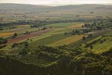 Sunflower Award: Slavonia and Baranja for Your Ultimate, Authentic Croatian Holiday